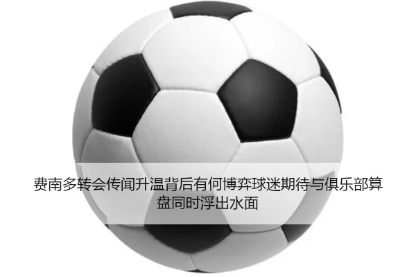 费南多转会传闻升温背后有何博弈球迷期待与俱乐部算盘同时浮出水面